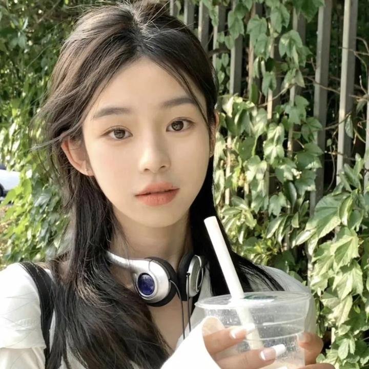 尚岷与丁尼奥